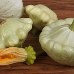 Λευκό κολοκυθάκι - Pattypan squash - 3g σπόροι