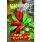 Πιπεριά Jalapeno 10 Σπόροι
