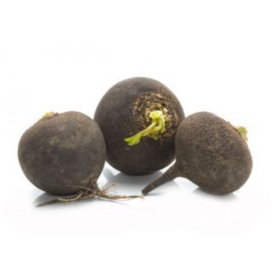 Ραπανάκι Μαύρο "Kulata Cerna-Black Ball” - 5g Σπόροι Ραπανάκι Μαύρο "Kulata Cerna-Black Ball” - 5g Σπόροι