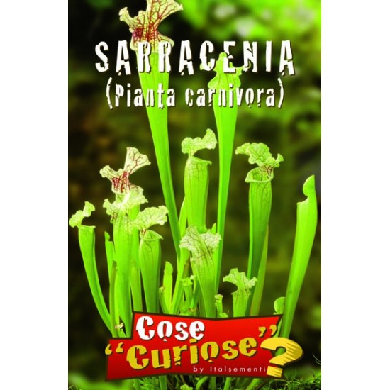 Σαρρακένια (Sarracenia) 0,03γρ. Σπόροι