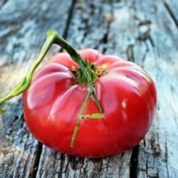 Ντομάτα ”Warsaw Raspberry” - 0,5g σπόροι