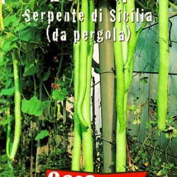 Κολοκύθα Ζucca da pergola, 2,5γρ. Σπόροι