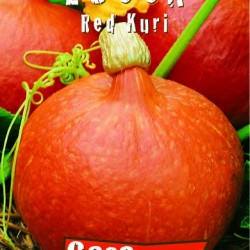 Κολοκύθα Red Kuri 1,5γρ. Σπόροι