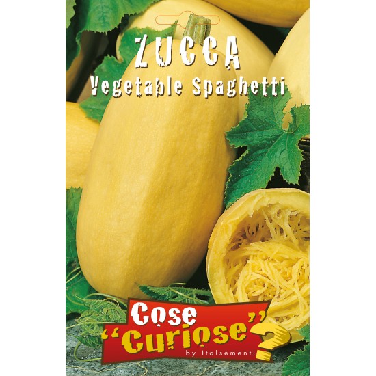 Κολοκύθα, Zucca Vegetable Spaghetti 2γρ. Σπόροι