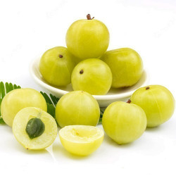 Το Δέντρο του Malacca "Amla Amalaki" - 5γρ σπόροι