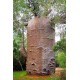 Μπαομπάμπ Δέντρο (Baobab/Adansonia Digitata) 7 Σπόροι Μπαομπάμπ Δέντρο (Baobab/Adansonia Digitata) 7 Σπόροι