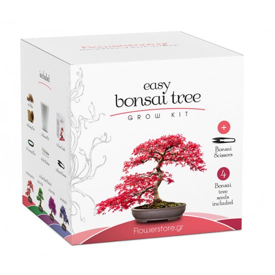Bonsai Kit -Business Gift- Καλλιέργησε μόνος το δικό σου μπονσάι!
