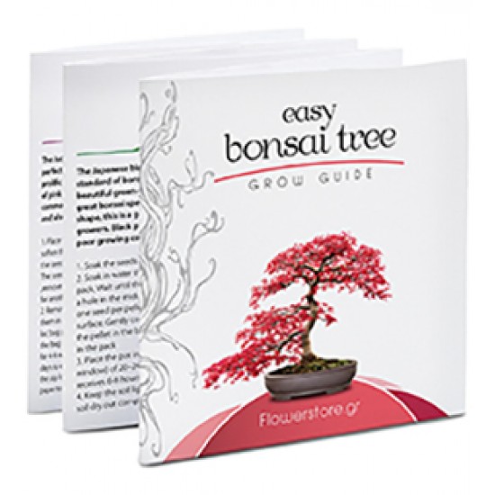 Μπονσάι Κιτ Σετ Δώρου / Καλλιεργείστε το δικό σας Bonsai!