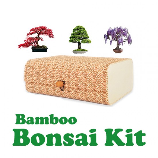 Μπονσάι Σετ Καλλιέργειας / Δώρου Με Κασελάκι Bamboo!