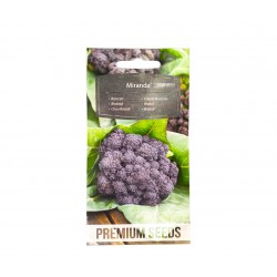 Μωβ Μπρόκολο “Violet Broccoli Miranda” - 1g σπόροι