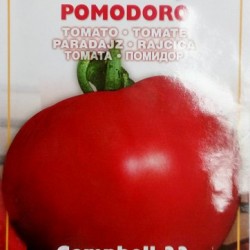 Campbell 33 Ντομάτα/Τομάτα Σπόροι 1γρ.