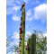 Κάκτος "Cereus peruvianus-Monstrosus"/ Περουβιανός κάκτος  - 30 σπόροι