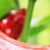 Καλλιέργεια Καυτερών Πιπεριών - Chillie Kit Flowerstore.gr