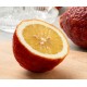 Κιτριά /Κίτρο "Citrus medica" - 7 σπόροι Κιτριά /Κίτρο "Citrus medica" - 7 σπόροι