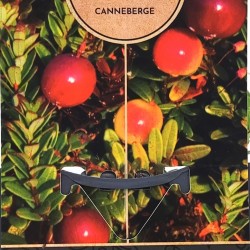 Cranberry - Kράνμπερι - (Vaccinium macrocarpon 'Early Black'')