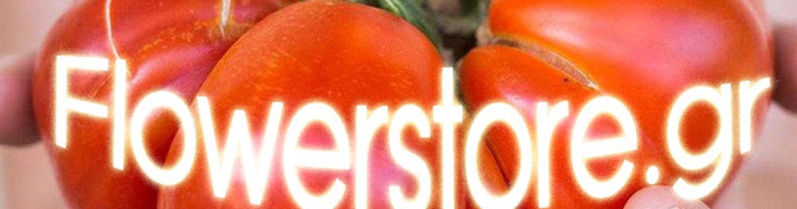 ΔΙΑΓΩΝΙΣΜΟΣ FLOWERSTORE.GR! ΔΩΡΕΑΝ ΠΑΚΕΤΑ ΣΠΟΡΩΝ ΚΑΙ ΒΟΛΒΩΝ! ΔΙΑΓΩΝΙΣΜΟΣ FLOWERSTORE.GR! ΔΩΡΕΑΝ ΠΑΚΕΤΑ ΣΠΟΡΩΝ ΚΑΙ ΒΟΛΒΩΝ!
