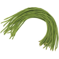 Φασόλι Μακρύ "Envi" 100 gr Φασόλι Μακρύ "Envi" 100 gr