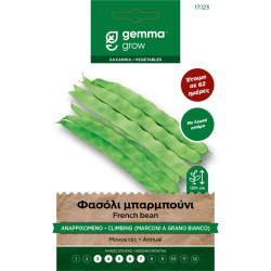 Φασόλι Μπαρμπούνι Αναρριχώμενο  - 10γρ σπόροι