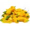 Fatalii Gourmet Jigsaw Καυτερή Πιπεριά κίτρινη - 6 Σπόροι
