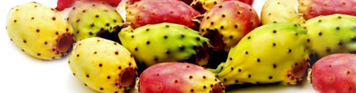 Φραγκόσυκο (Opuntia prickly Pear) Οδηγίες Καλλιέργειας Σπόρων Φραγκόσυκο (Opuntia prickly Pear) Οδηγίες Καλλιέργειας Σπόρων