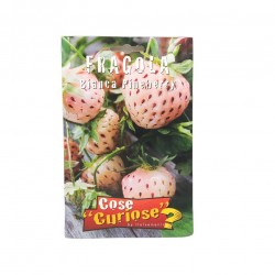 Φράουλα pineberry Σπόροι 0,03 γρ!