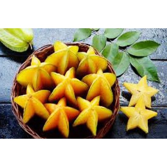 Φρούτο-αστέρι (καραμπόλα), 10 σπόροι