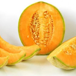 Πεπόνι Galia/ORTOLANI (cucumis melo) 4,5γρ σπόροι Πεπονιού