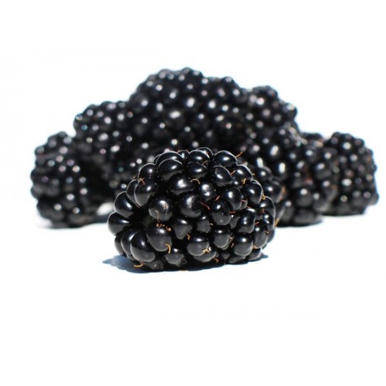 Μαύρο Σμέουρο/Blackberry - 15 Σπόροι