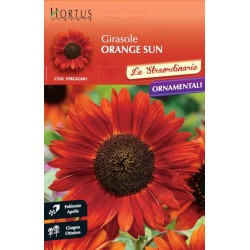 Ηλίανθος ‘Orange sun’’- Helianthus Asteraceae 3γρ. Σπόροι