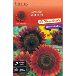  Ηλίανθος "Red sun’’ - Helianthus Asteraceae 4γρ. Σπόροι