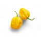 Habanero Κίτρινη καυτερή Πιπεριά - 20 Σπόροι