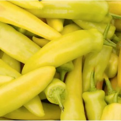 Καυτερή Πιπεριά Wax Pepper Ουγγαρίας Κίτρινη - 10 Σπόροι