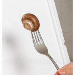 Κιτ Καλλιέργειας Καφέ Μανιταριών "Brown Mushrooms"