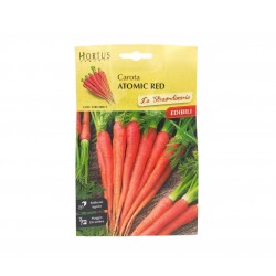 Kαρότο ‘’Atomic Red’’ - Daucus carota  1γρ. Σπόροι