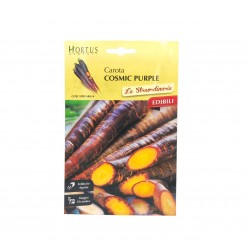 Καρότο ‘’Cosmic Purple‘’ - Daucus carrota 0,8γρ. Σπόροι