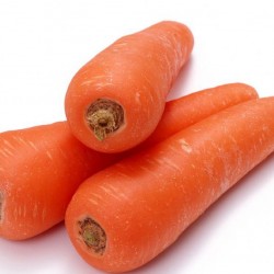 Καρότο Γίγαντας "Flakkee" 6γρ σπόροι Καρότου