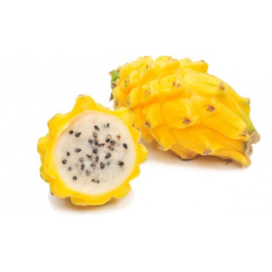 Πιτάγια κίτρινη φρούτο του δράκου  (Pitaya) – 6 Σπόροι