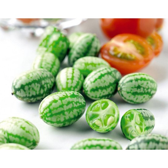 Κουκαμέλον, (cucamelon) 15 σπόροι Κουκαμέλον, (cucamelon) 15 σπόροι