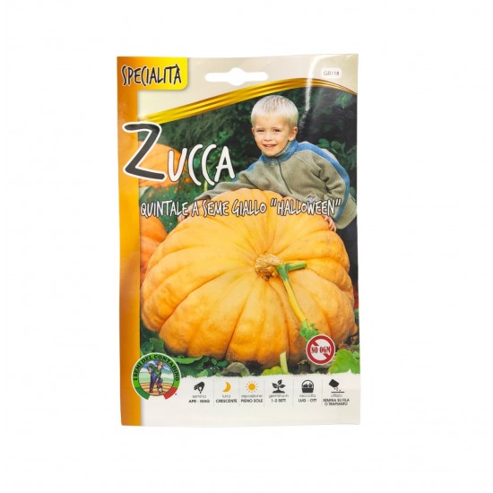 Κολοκύθα Zucca quintale seme giallo (Halloween) 3γρ. Σπόροι