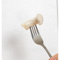 Κιτ ΚαλλιέργειαςΜανιταριών "King Oyster" 