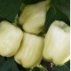 Λευκή Πιπεριά - 20 Σπόροι