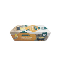 Κιτ Καλλιέργειας Κίτρινων Μανιταριών Oyster "Yellow Oyster"