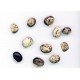 Mucuna Pruriens / Velvet Bean, Μουκούνα Προύριενς kapikachhu - 6 Σπόροι Mucuna Pruriens / Velvet Bean, Μουκούνα Προύριενς kapikachhu - 6 Σπόροι