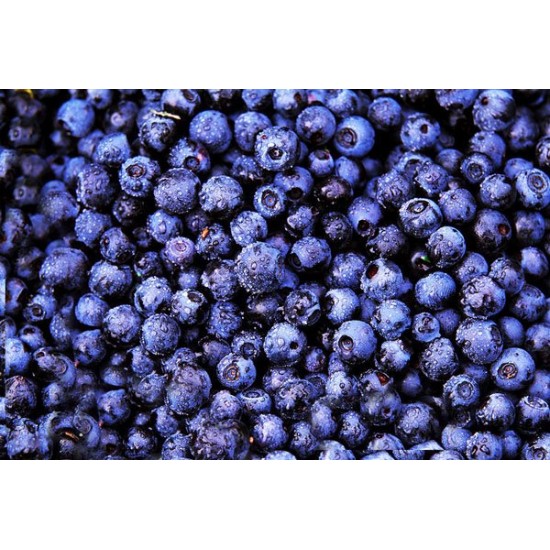 Μύρτιλο (blueberry) 10 σπόροι μύρτιλου