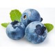 Μύρτιλο (blueberry) - φυτό 50 εκ. (Vaccinium Corymbosum 'Brigitta Blue')