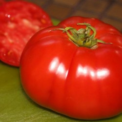 Ντομάτα Delicious Οργανική Τεράστιο Μέγεθος - 10 Σπόροι