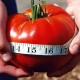 Ντομάτα Delicious Οργανική Τεράστιο Μέγεθος - 20 Σπόροι Ντομάτα Delicious Οργανική Τεράστιο Μέγεθος - 20 Σπόροι