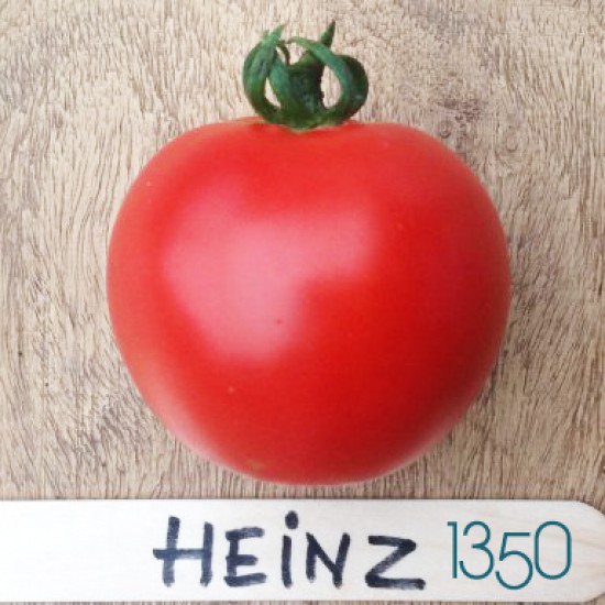 Ντομάτα Heinz 1350 - 20 Σπόροι Ντομάτα Heinz 1350 - 20 Σπόροι