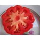 Ντομάτα "Mushroom Basket" Κόκκινη - 10 Σπόροι
