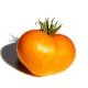 Ντομάτα Οργανική German Orange Strawberry - 10 Σπόροι Ντομάτα Οργανική German Orange Strawberry - 10 Σπόροι